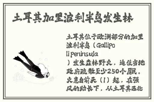 sn3858粉色水蜜桃